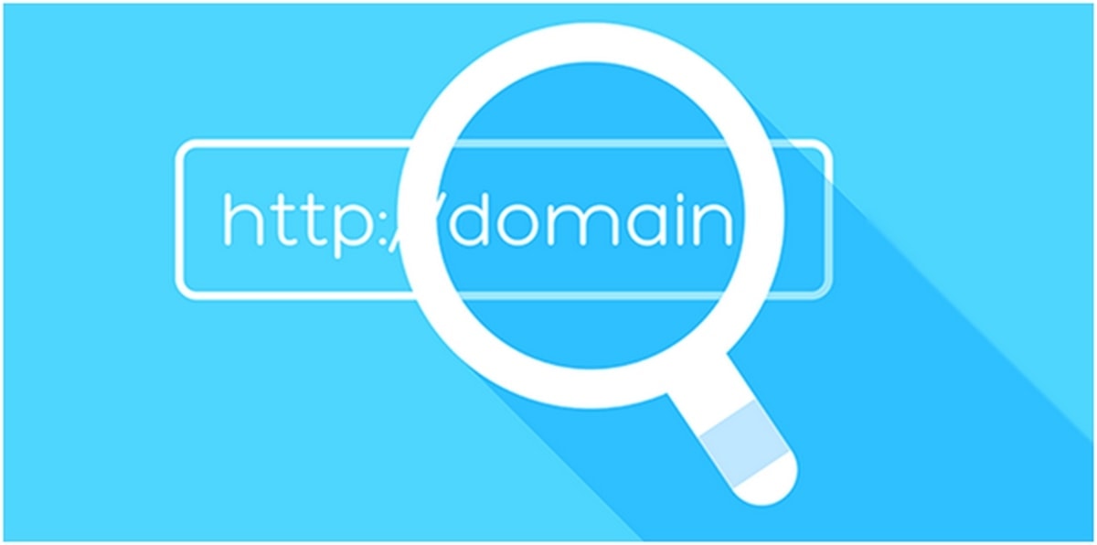 find domain name